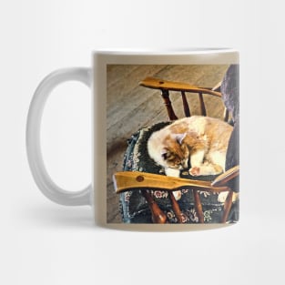 Cat Taking a Nap Mug